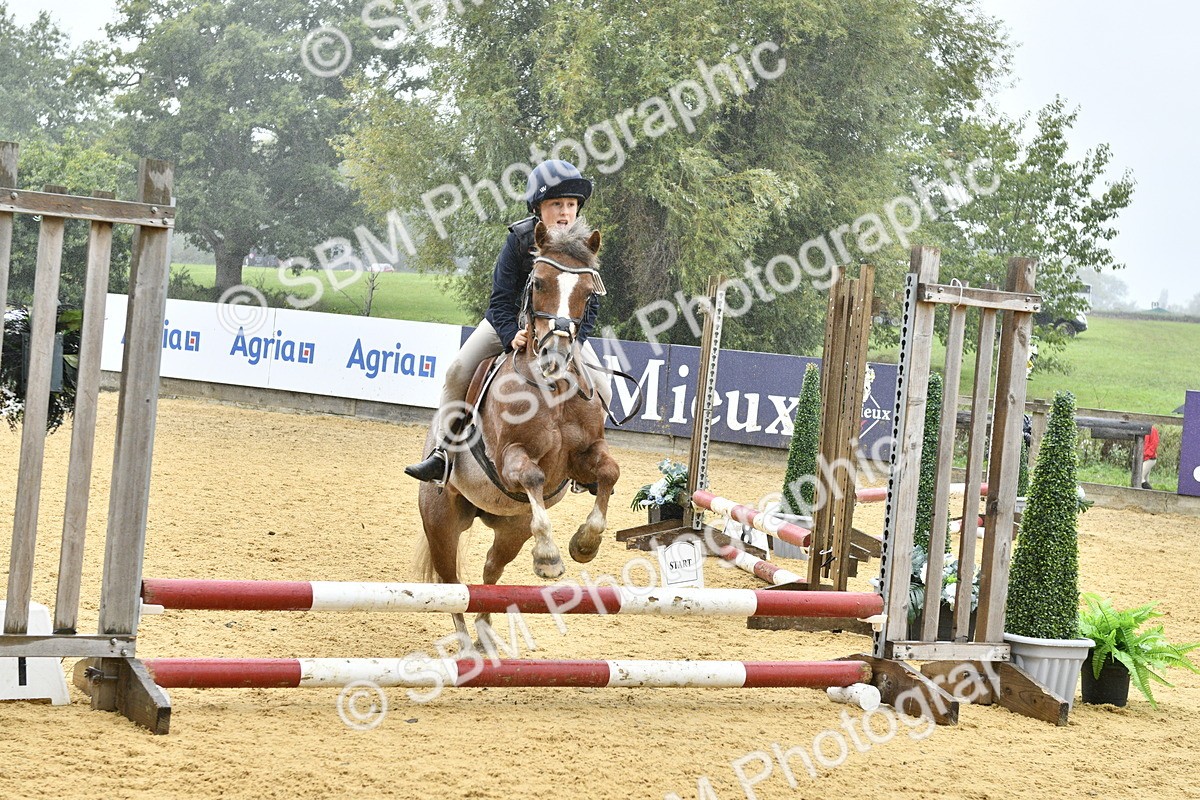 SBM_70971 - J3 - Mini Tour Junior Pony 40cm championship