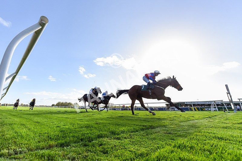 191024-Race 4-Three Dons-8424 - Race 4