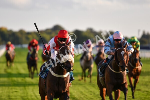 yr07102022r7-31 - Race 7 5.35pm IRE Incentive, It Pays To Buy Irish Stakes