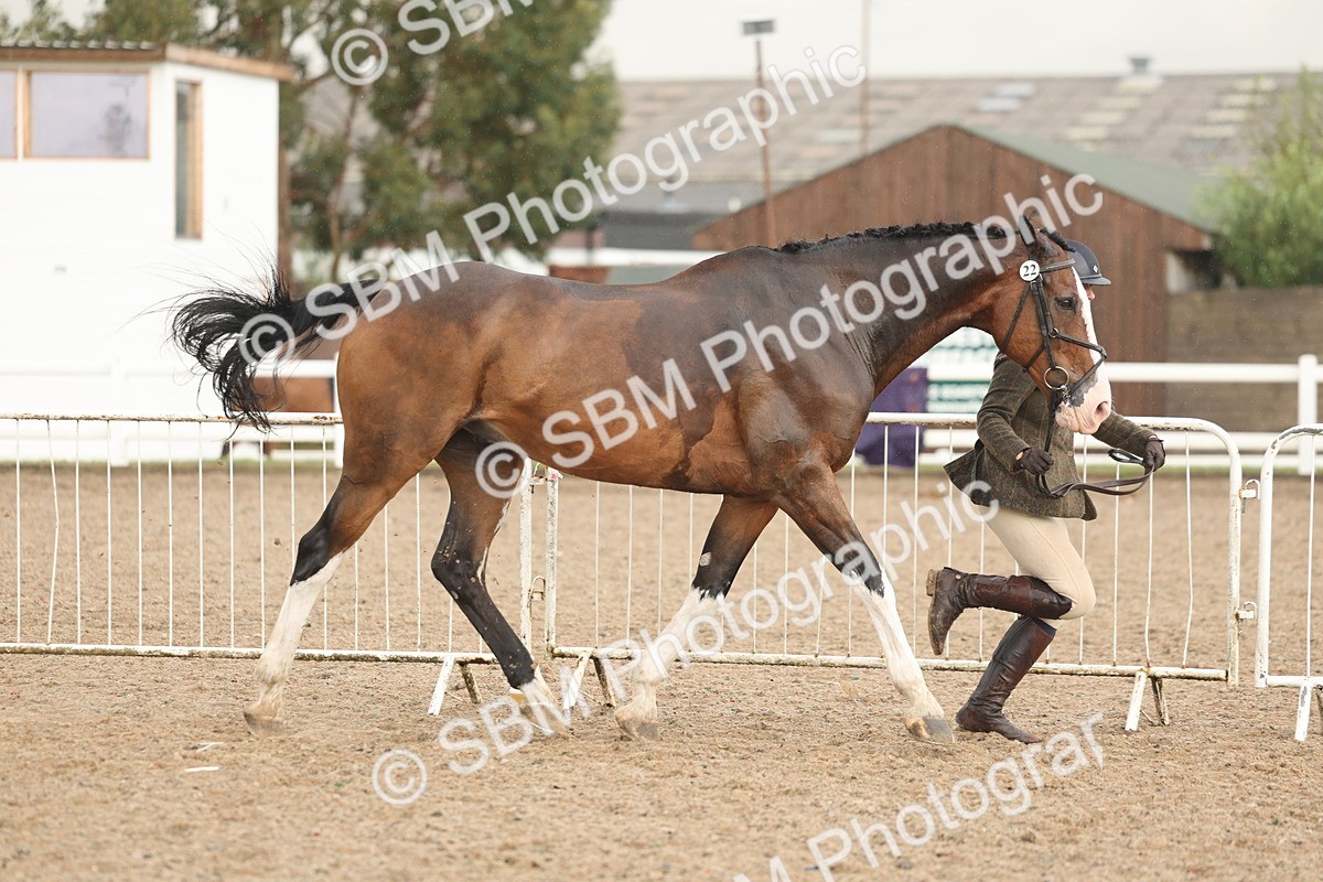 SBM_07761 - Class 27 - IH Competition Horse/Pony