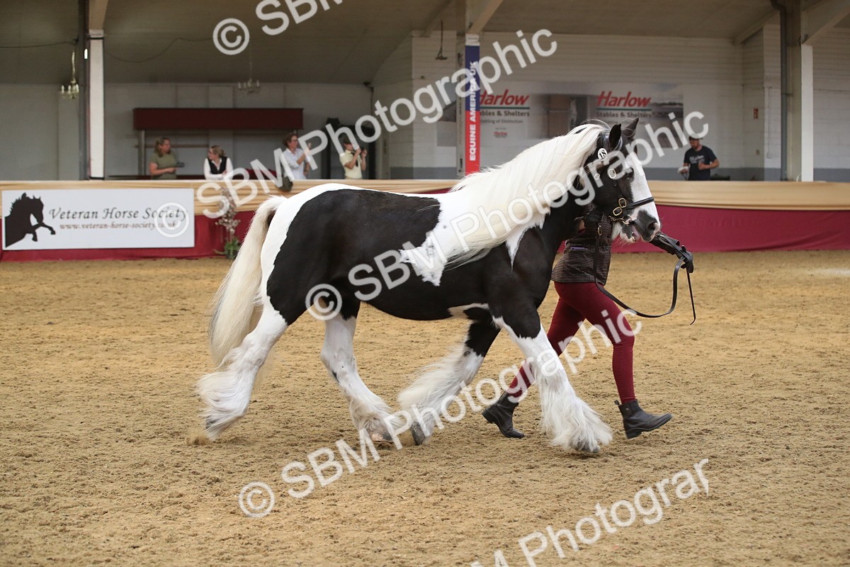 SBM_05650 - Class 9R - Regional IH Pre-Vet