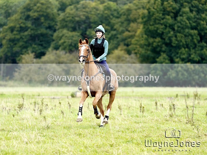_DSC8417 - Edited examples