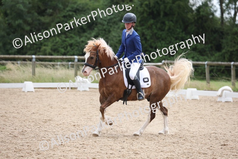 20250614-1511 - Class 7 - Elementary 2