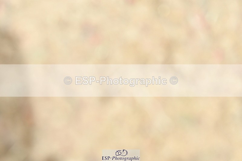 230701A-142137-07589 - Cls 16+18 FEI PSG + Inter I