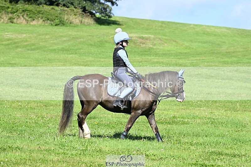 240728B-101641-00617 - Theo's Group XC