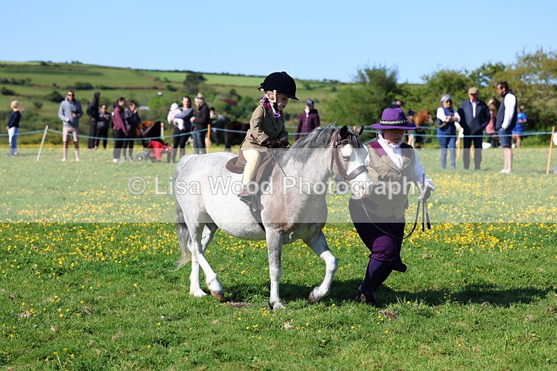 3E7A8874 - Class 2: Lead rein