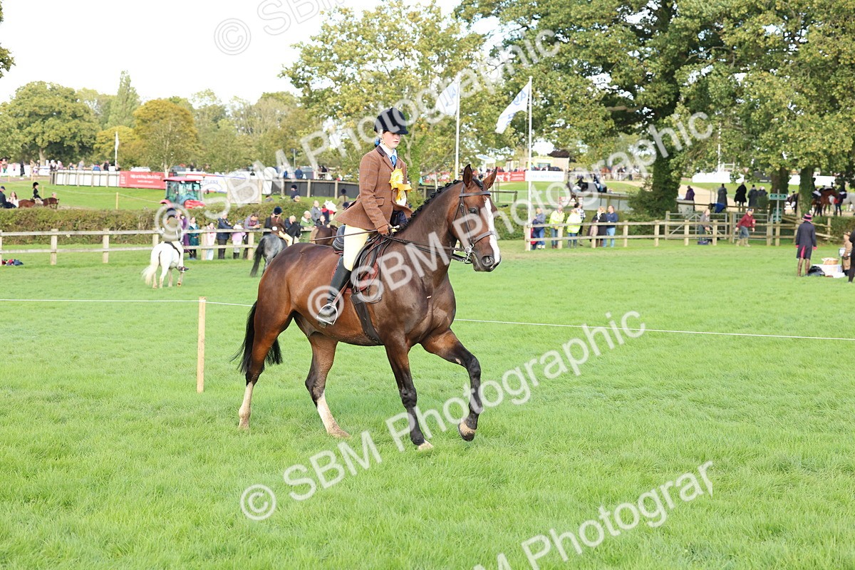 SBM_50222 - S34 - Novice & Newcomers Working Hunter