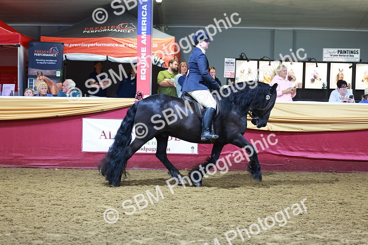 SBM_15258 - Class P - M&M Champ