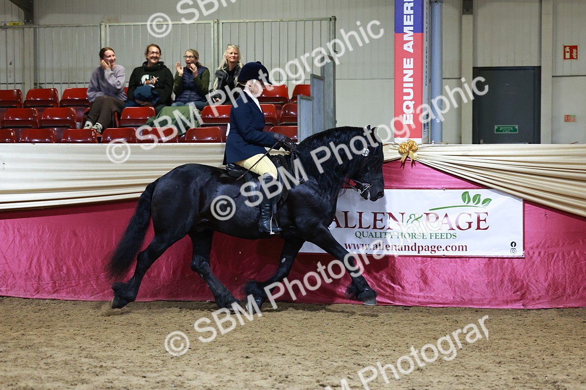 SBM_21344 - Class T - Working Veteran Champs