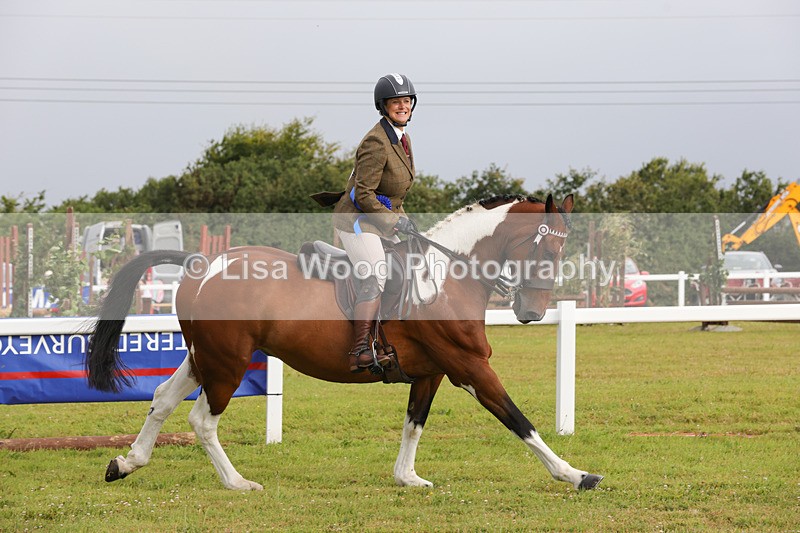 1X9A2963 - Class 25: Ridden Plaited Coloured Horse