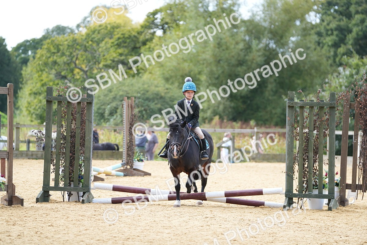 SBM_64569 - J2 - Mini Tour Junior Pony 30cm Championship