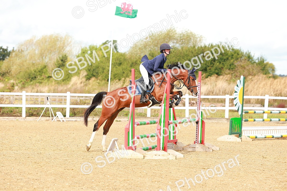 SBM_000420 - Class 2 - Senior British Novice - 90cm