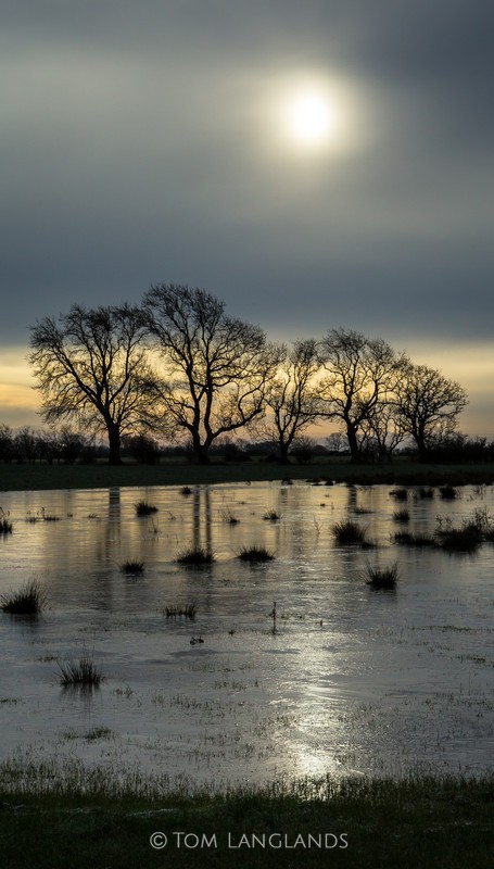 Flooded Field - Landscapes