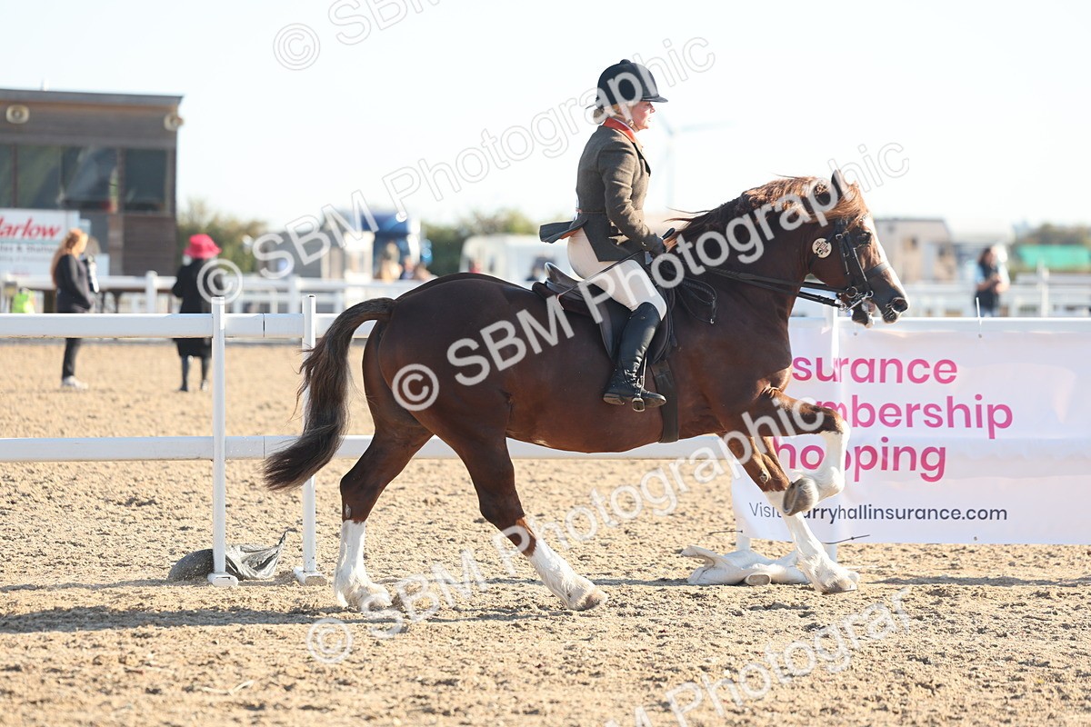 SBM_10988 - Class 302 - Ridden M&M Large Breeds