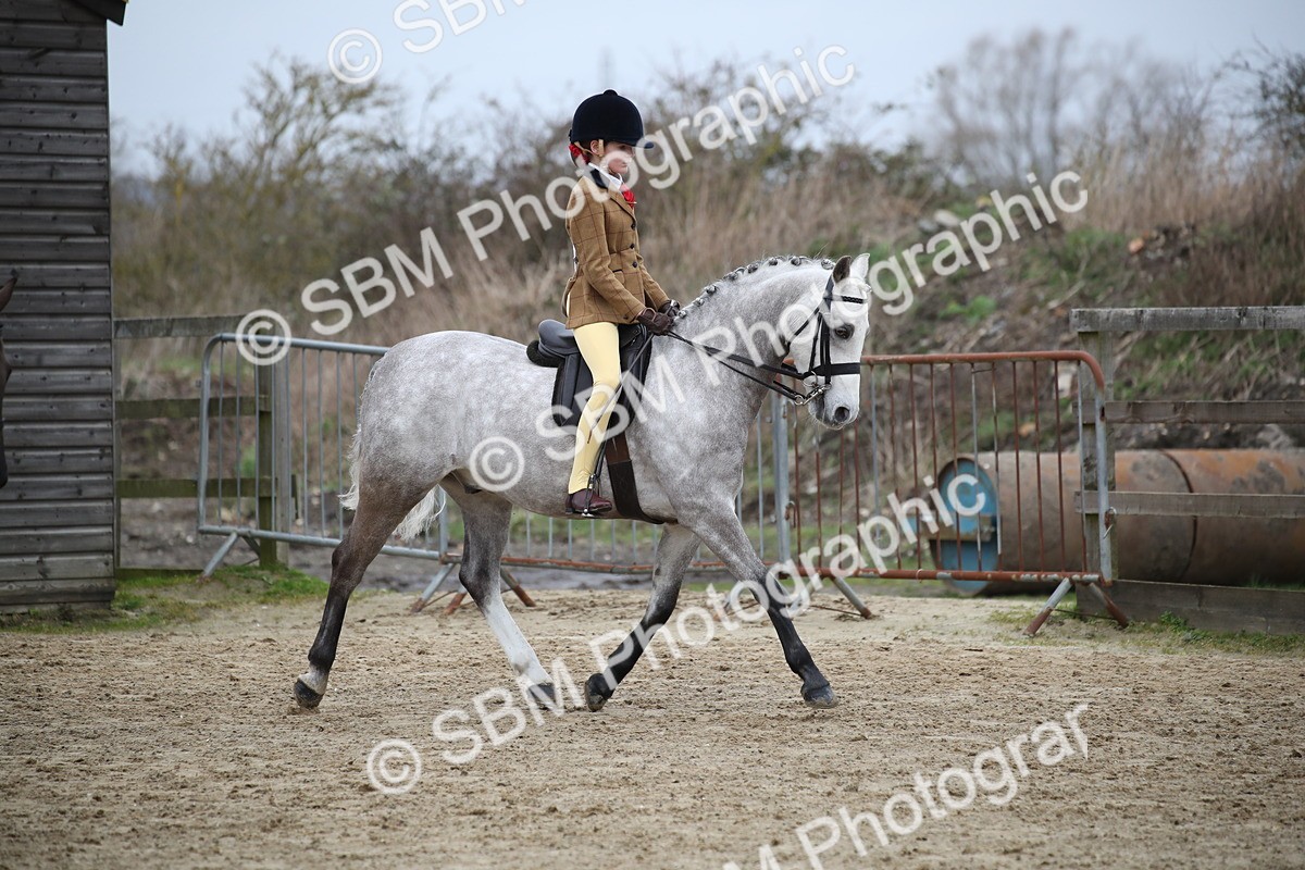 SBM_004637 - Class 5-9 - NPS In Hand-Show Hunter-Intermediate Ridden Inc Ridden Championship