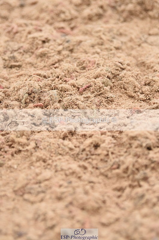 230830A-133126-00915 - Cls 4 Newcomers & Open