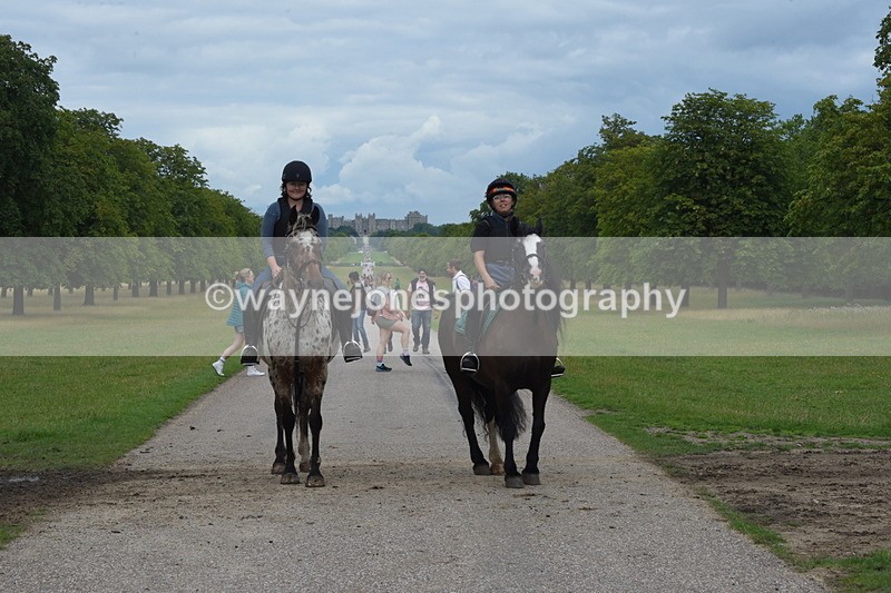 TT3_9649 - Time at Crossing 11:28 to 13:16