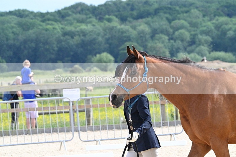 WJ7_8211 - Time 16:10 to 16:25