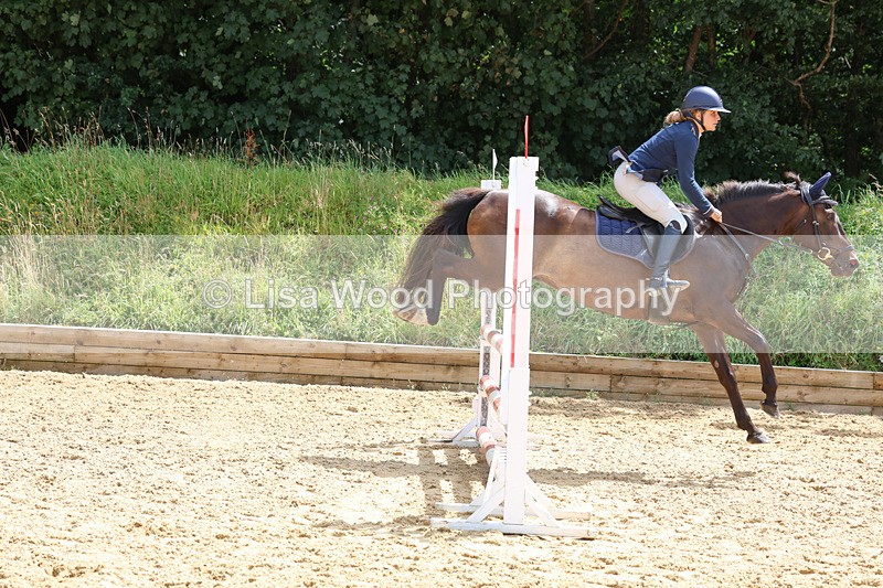 3E7A0409 - Class 9: Senior British Novice/90cm open