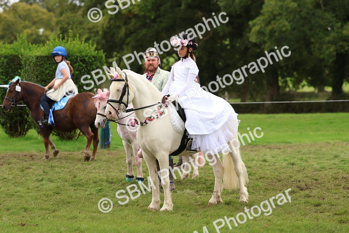 SBM_62162 - S37b - Best Unicorn