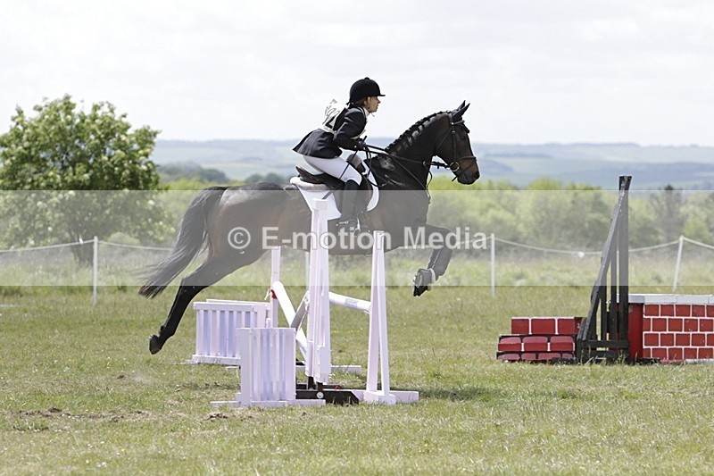 BVHT 140517 N-393 - Class 2 SJ Novice 14/05/17