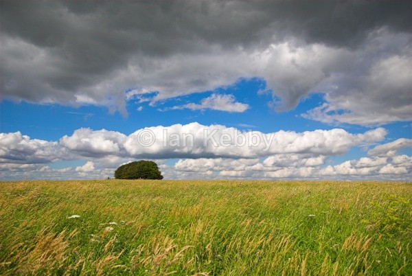  - Landscapes