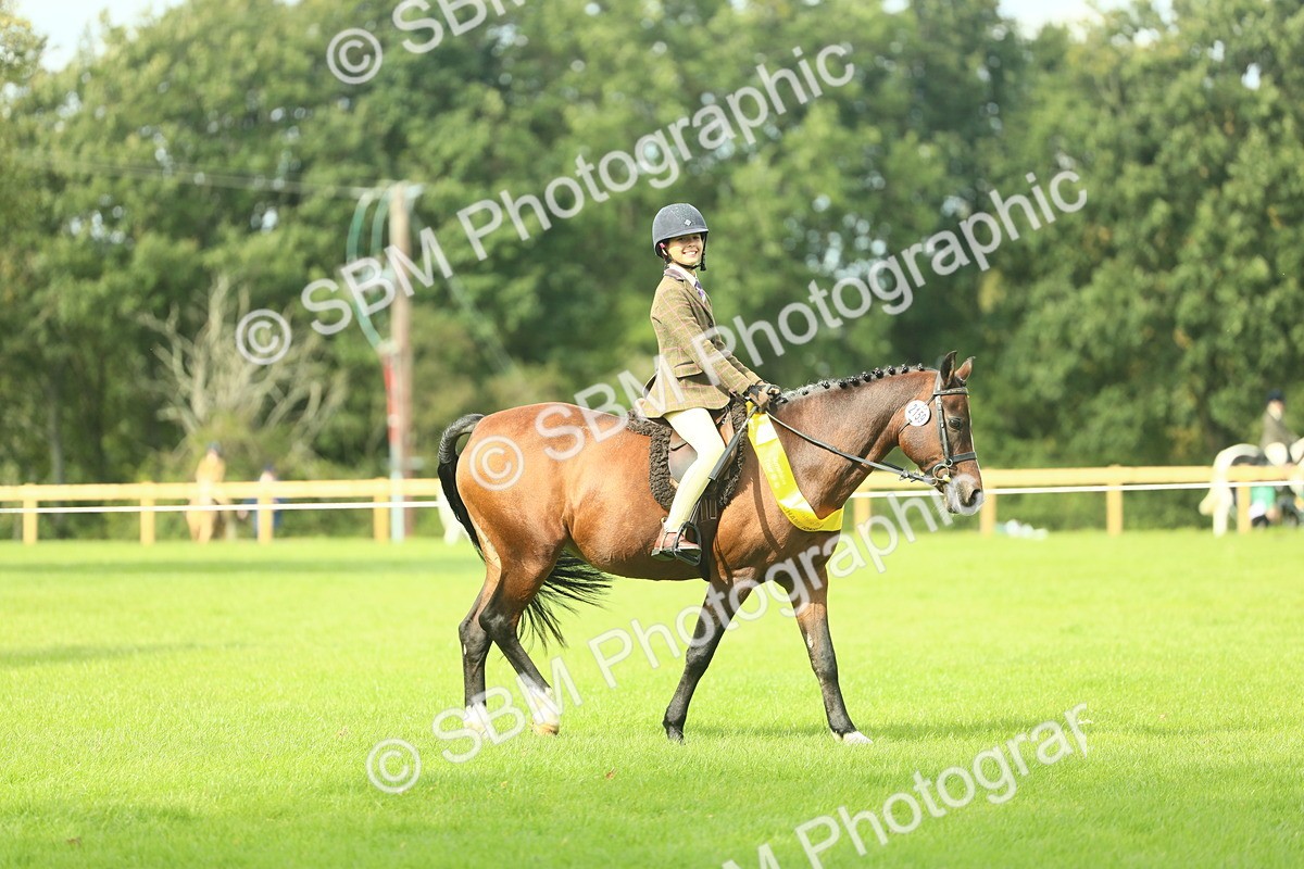 SBM_44871 - Working Hunter Pony Supreme Championship