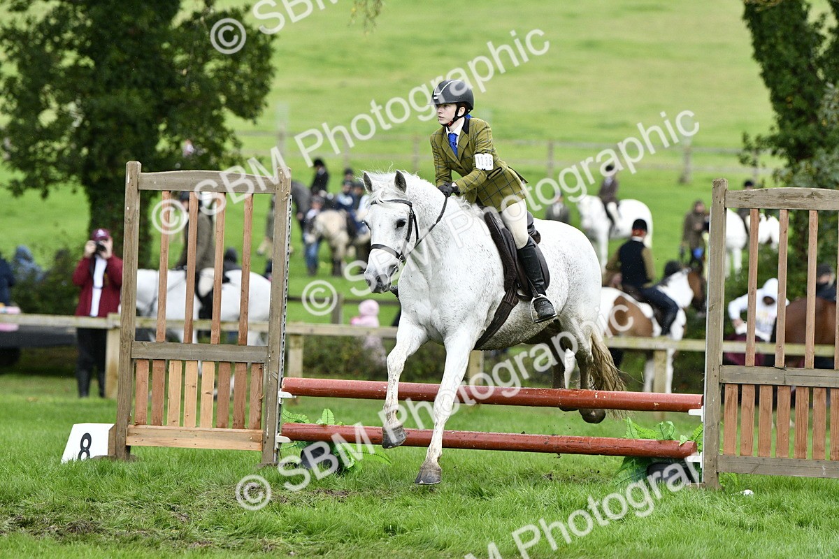 SBM_42261 - S32 - Mountain & Moorland Working Hunter Pony
