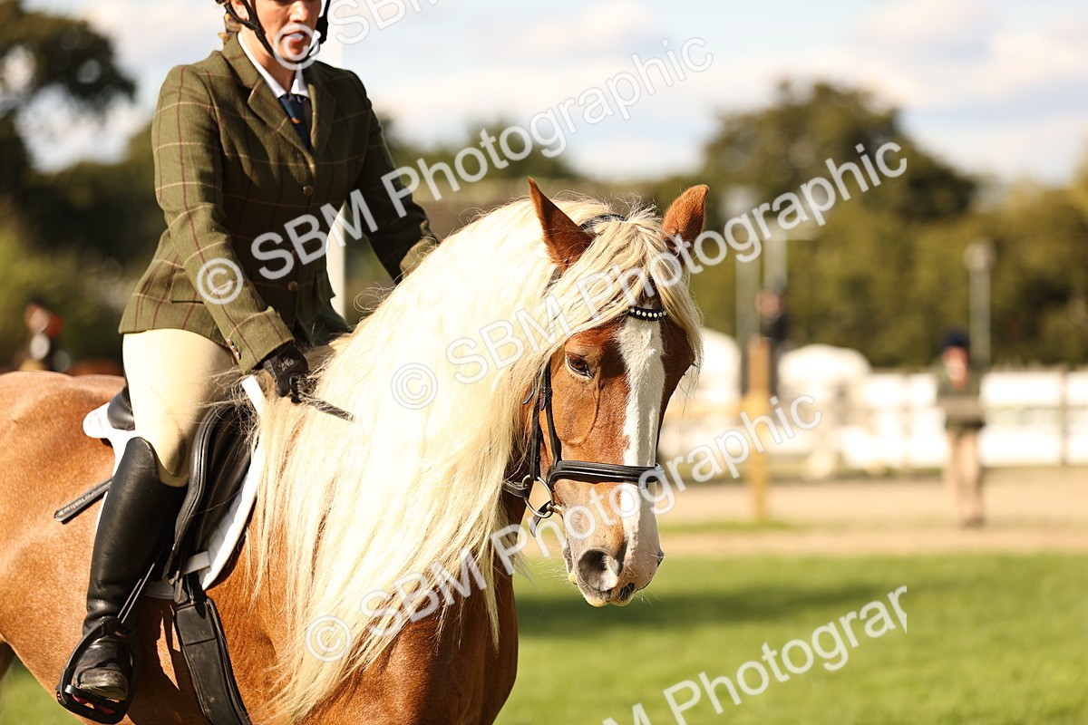 SBM_26409 - S6 - Novice & Newcomers Ridden Horse