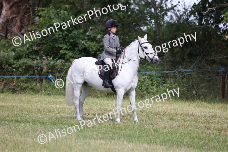 20260614-0563 - Class 20 - Beginners Working Hunter Pony