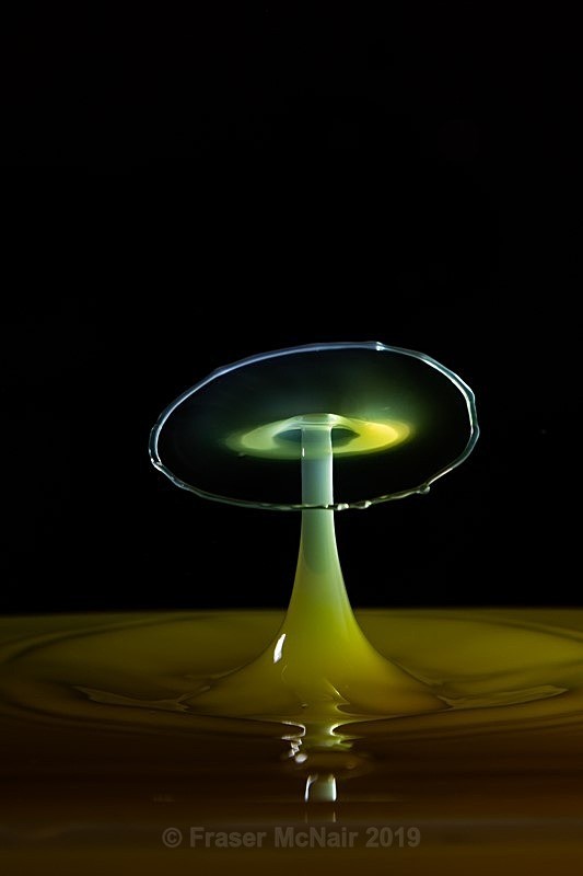 Water Droplet 8918 - Abstract Photography