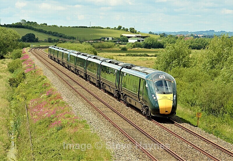 14th June 2020 - Curry Rivel (Oathe, Wick), Somerset