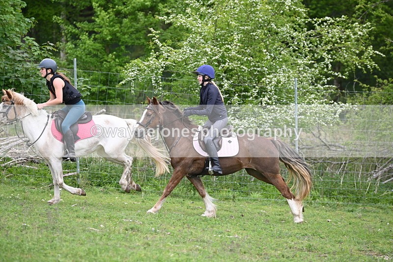 WJ6_3396 - A camera