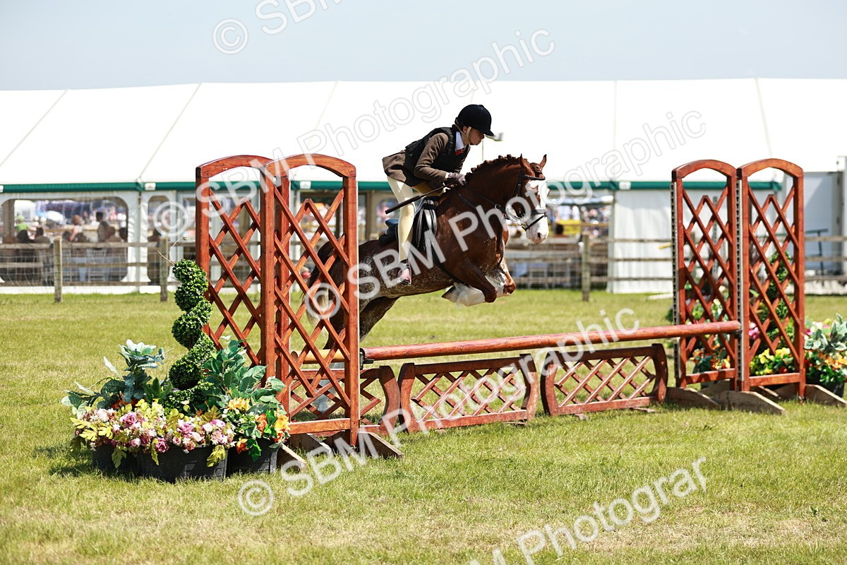 SBM_15517 - Class 108-109 - BSPS LIHS Open Gradle & Nursery Stakes