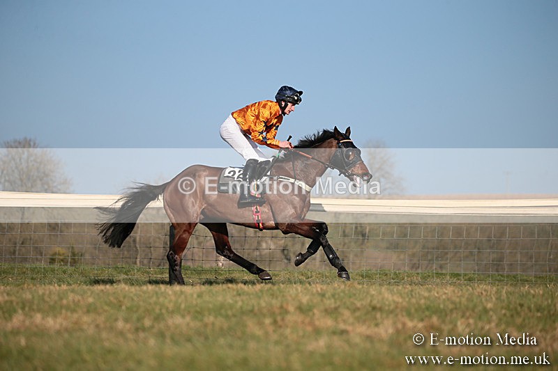 PtP 230219 388 - Vine & Craven Point-To-Point - Barbury 23/02/19