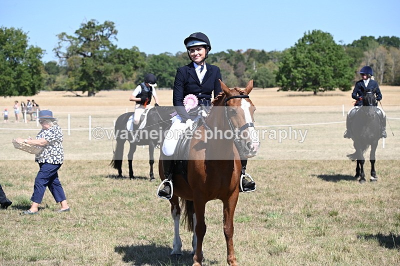 WJ6_8510 - Class 37a Best Loan Pony Ridden