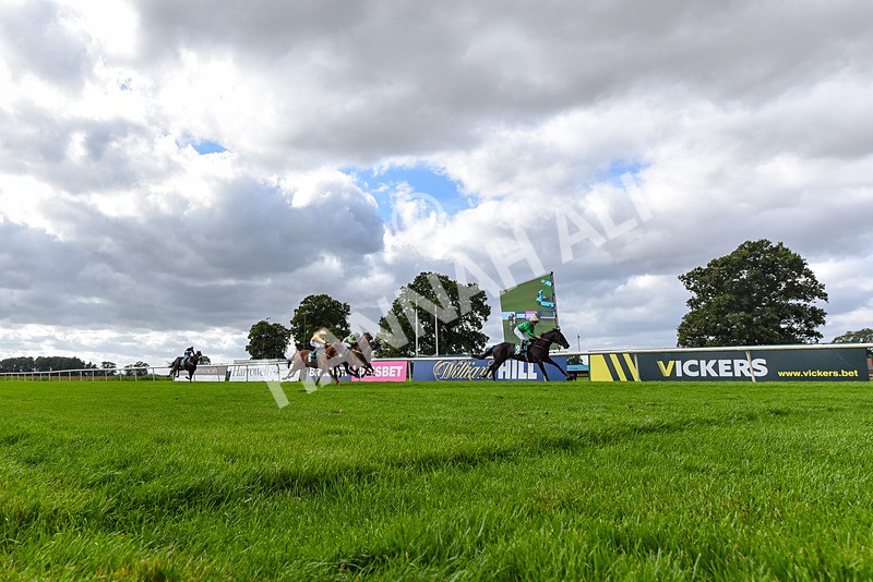 090824-Race 5-Quietness-2982 - Race 5