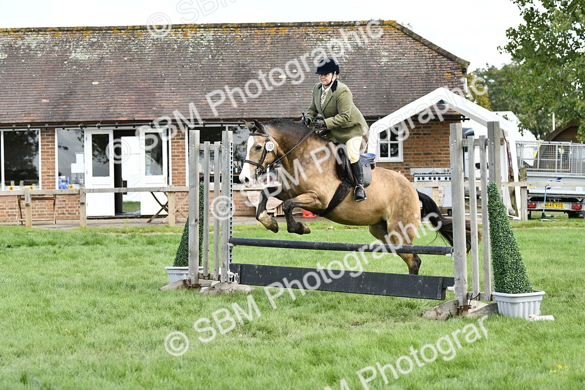 SBM_45749 - S33 - Working Hunter Pony