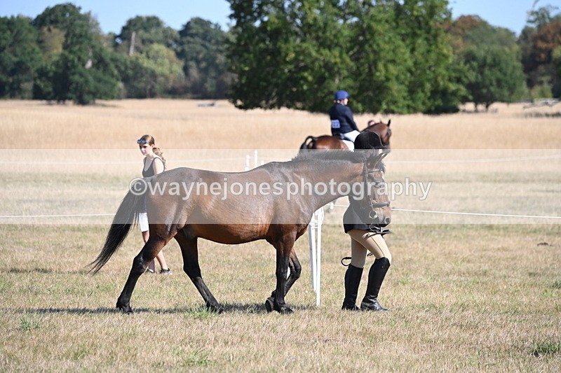 WJ6_7420 - Class 34 Judges Choice