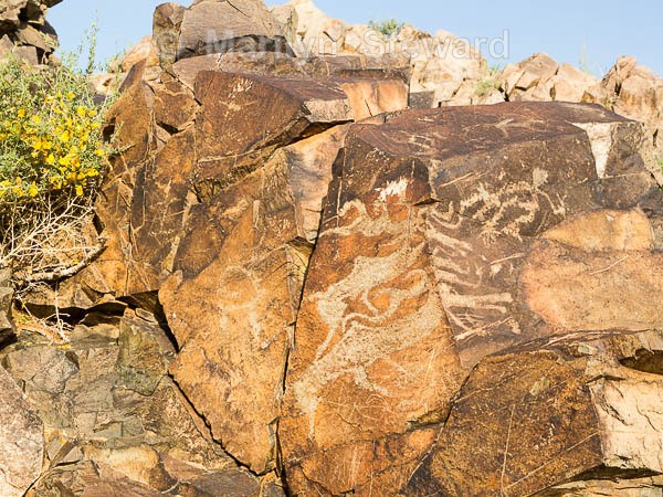 Mount Khogno Khan paintings - Mongolia