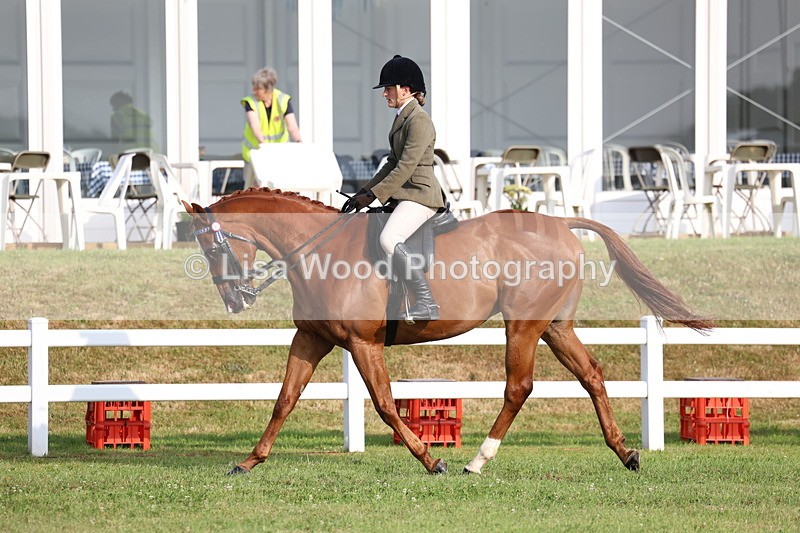 3E7A7813 - Class 1: Rising Star Small Hack/Riding Horses