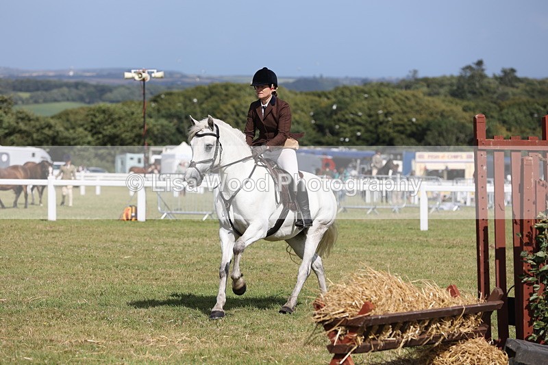 JPP_2566 - Class 20: Working Hunter 70cm