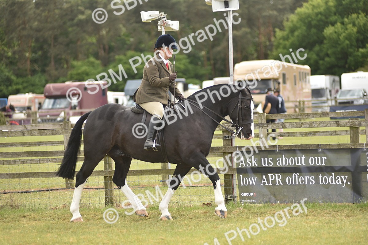 SBM_17747 - Class 122-123 - LIHS BHSA Raising Star Style and Performance Series