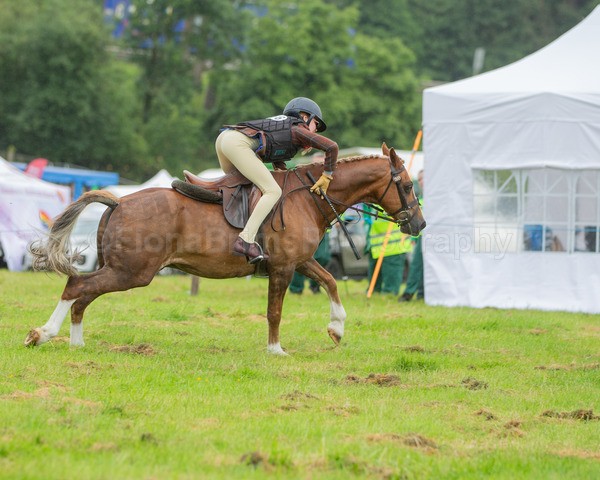 Dunblane show-43 - Dunblane and Doune Show Ring 1