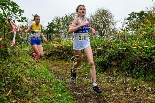 WestRLY25-811983 - Young Female Set Two