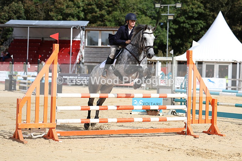 3E7A2041 - Class 4: Senior British Novice/90cm open