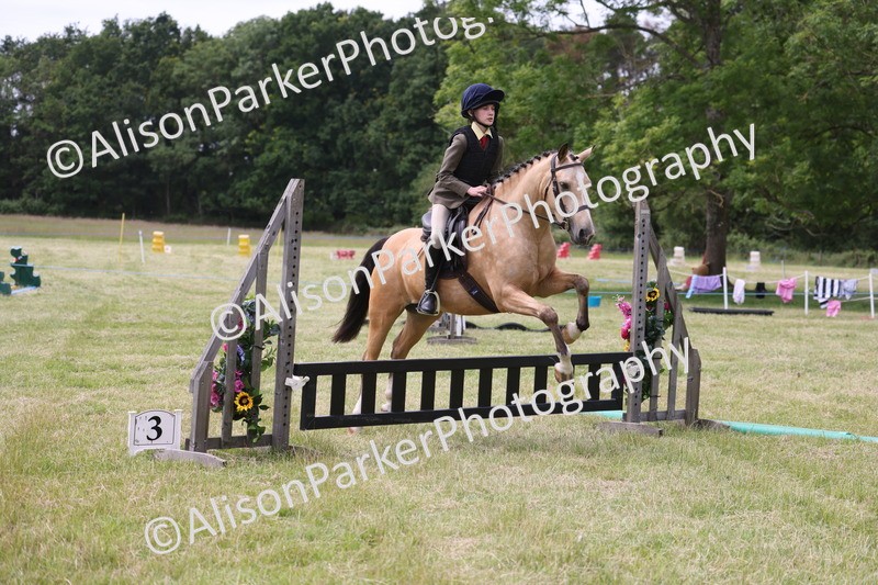 20260614-2954 - Class 22 - Open Working Hunter