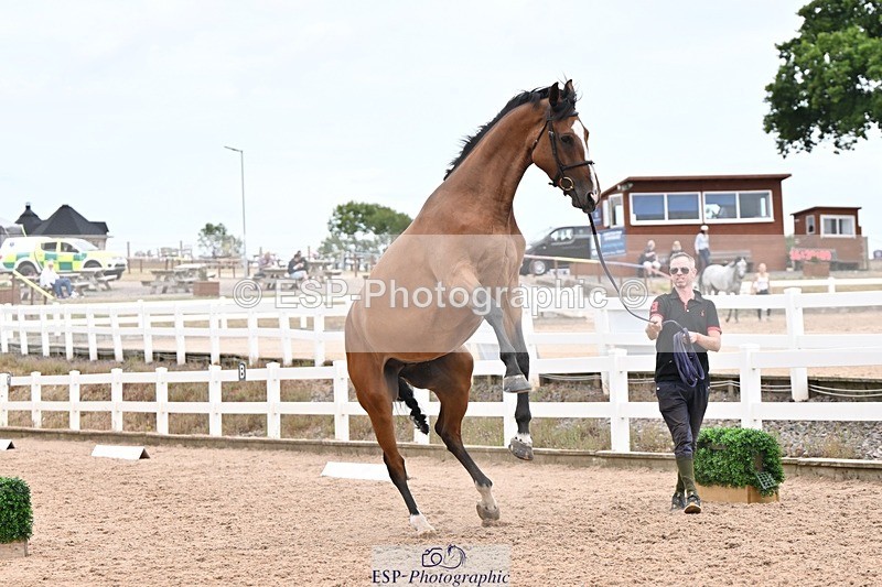 250716-155105-02228 - Trot Up 3.30 to 4.30