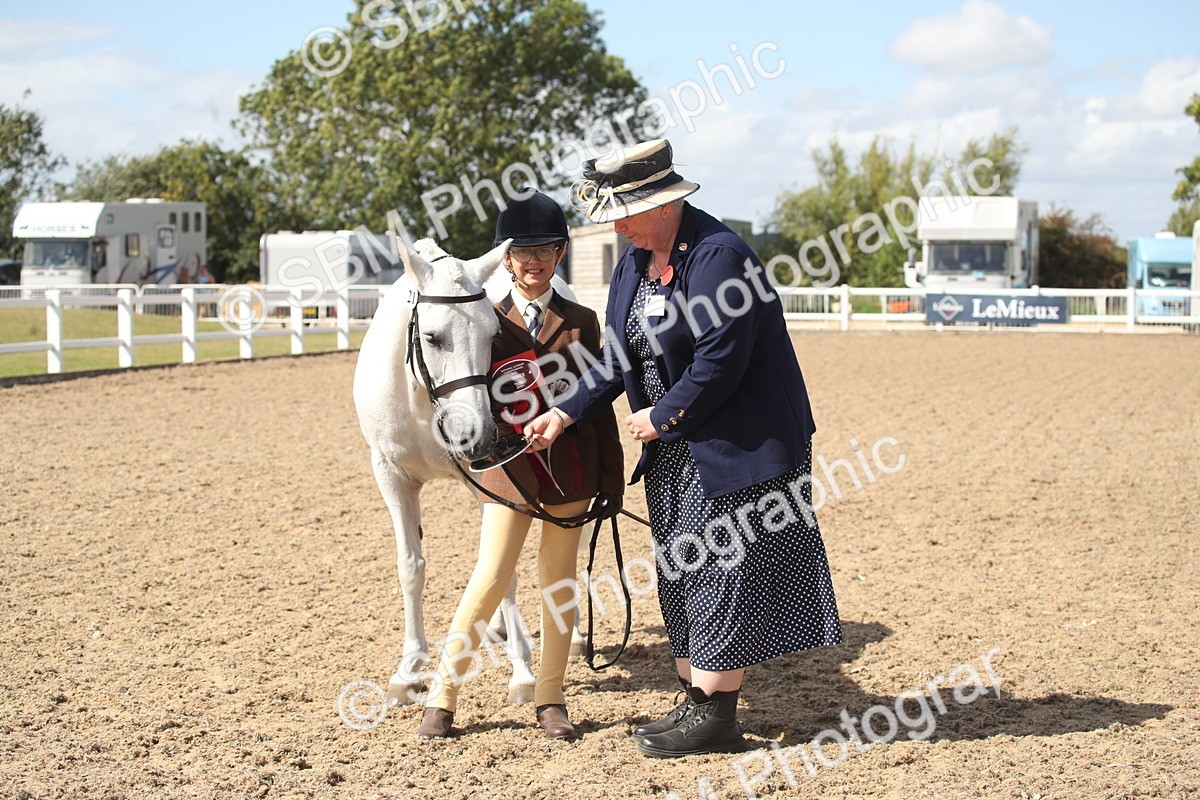 SBM_23572 - Class 605 - 2026 - Area - IH Veteran