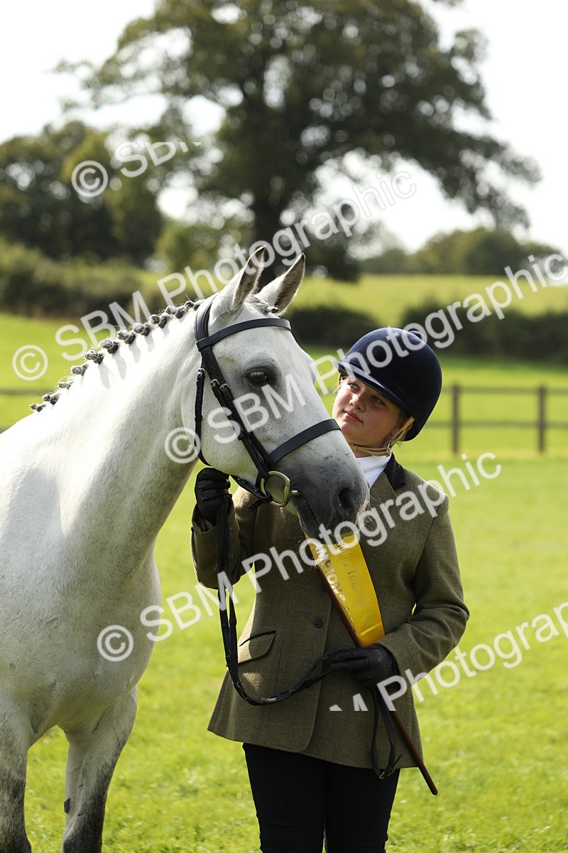 SBM_66321 - In Hand Pony & Youngstock Supreme Championship